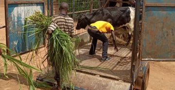 UMUKURU W’IGIHUGU YARAYE AGABIYE PARUWASI GITONGO INYANA Y’INKA YITWA «YABUKI»