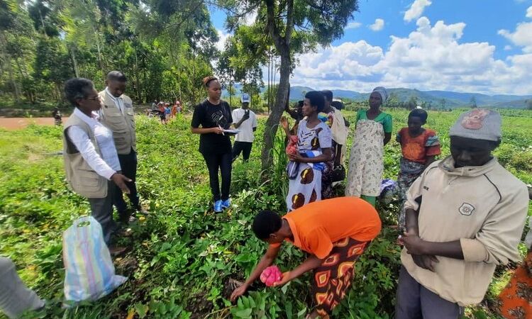 UNE BONNE NOUVELLE POUR LA COOPERATIVE « KEREBUKAMUKENYEZI »