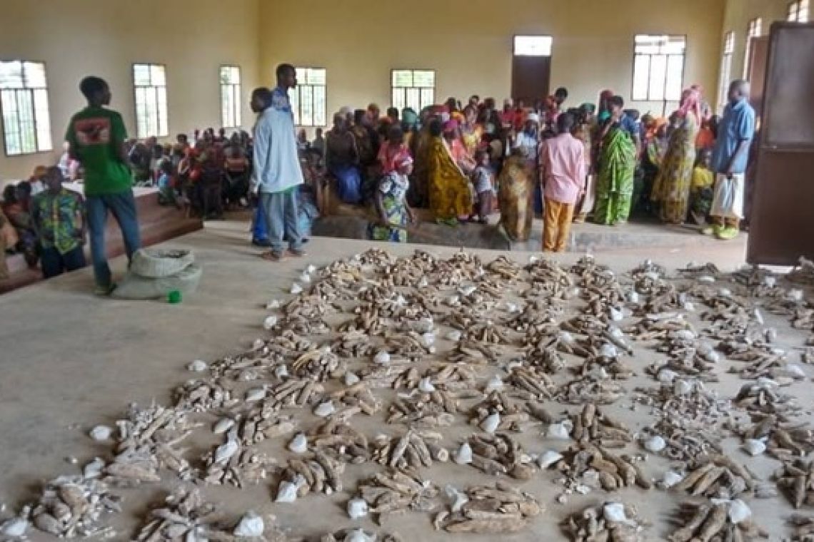 CELEBRATION DE LA JOURNEE INTERNATIONALE DES PAUVRES DANS LA PAROISSE MUKUNGU