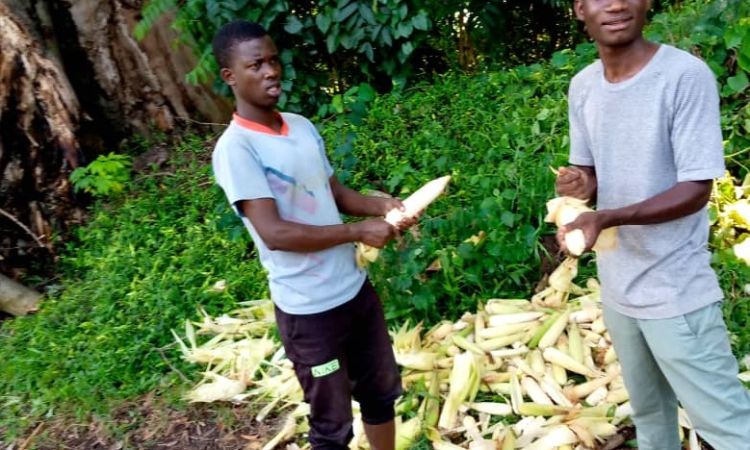 L’AUTO-PRISE EN CHARGE AU GRAND SEMINAIRE DE BUJUMBURA : UNE REALITE