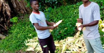 L’AUTO-PRISE EN CHARGE AU GRAND SEMINAIRE DE BUJUMBURA : UNE REALITE